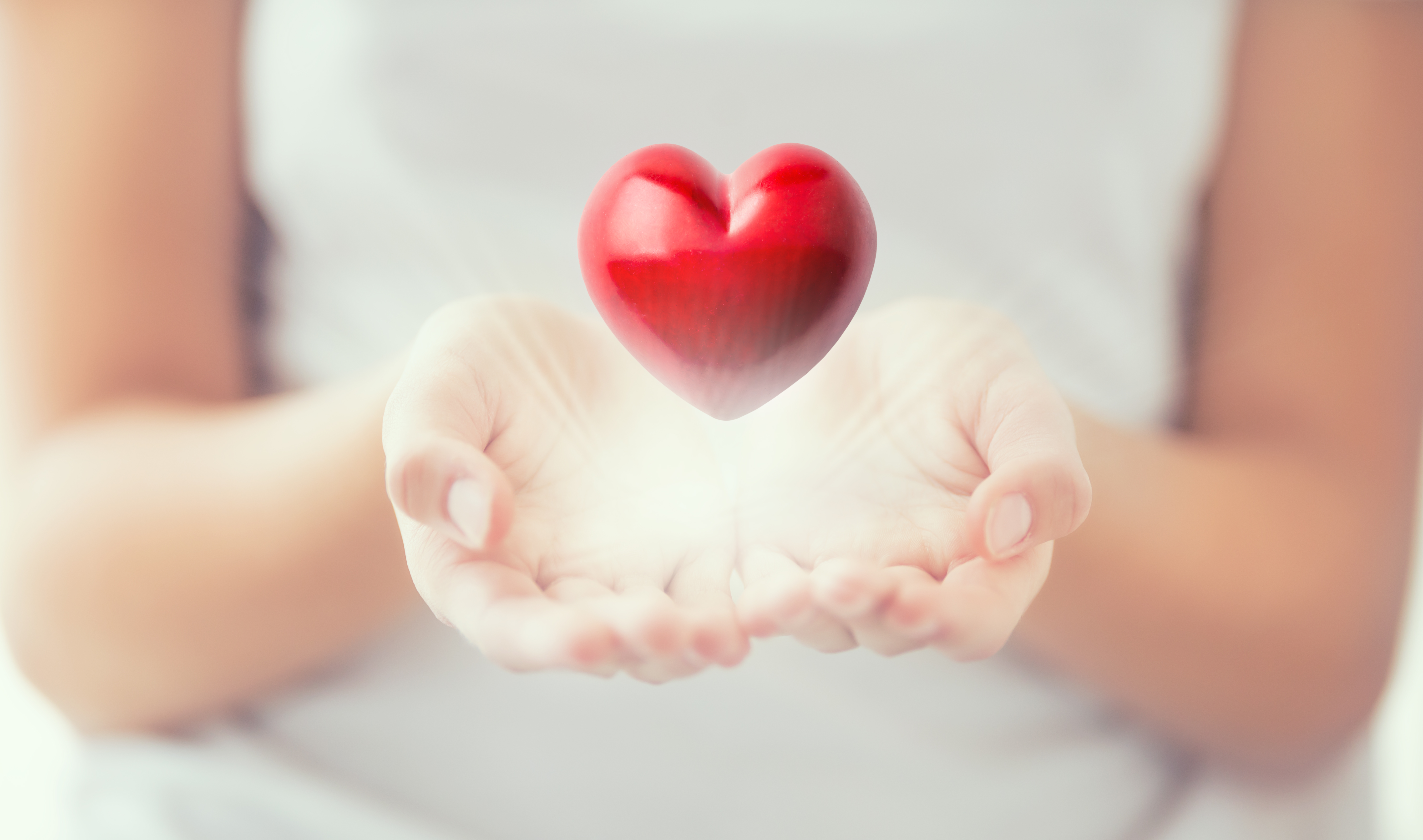 Yến sào có tiềm năng trong bảo vệ sức khỏe tim mạch